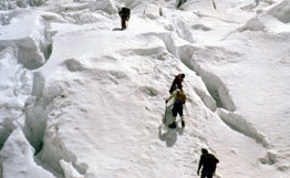 В июле американские ученые отправятся на верхний полуостров штата Мичиган на поиски снежного человека. Фото: © РИА Новости.