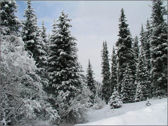 Фото с сайта www.mountain.ru