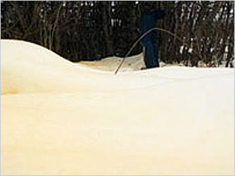 Оранжевый снег в Омской области в 2007 году. Фото с сайта zoomka.ru