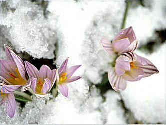 Фото с сайта www.proshkolu.ru