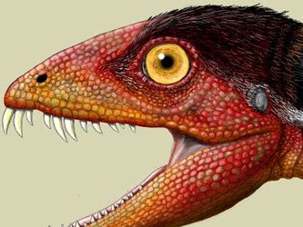 Daemonosaurus chauliodus, иллюстрация с сайта smithsonianscience.org
