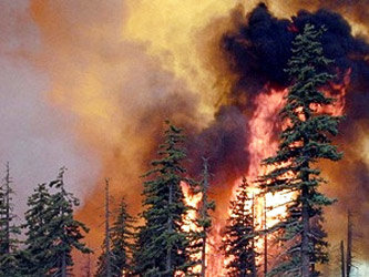 Лесной пожар, фото с сайта www.sib-spas.ru
