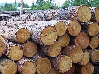 Фото с сайта www.woodtechnology.ru