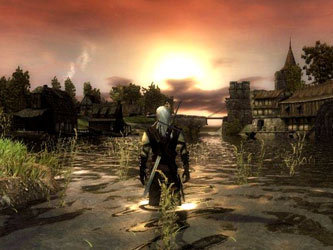 Кадр из игры The Witcher 2