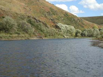 Река Ануй. Фото с сайта www.svyato.info