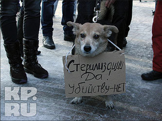 Фото с сайта www.kp.ru
