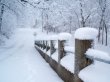 Снегопад побил вековой рекорд в Томске