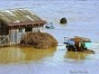 Полторы сотни жителей Алтая покинули дома из-за паводка