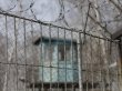 Заключенные подняли бунт в Новосибирской области
