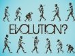 Человеческое тело менялось четыре раза в ходе эволюции