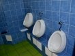Младшекласснику в Красноярске засунули в рот туалетный ершик