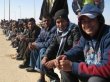 Сирийские беженцы в Европе пожаловались на нехватку секса