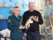Конфискованное в Красноярске чучело крокодила отдали в музей