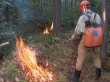 Мигрант из Таджикистана заплатит крупный штраф за пожар в лесу Алтая
