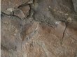 Таинственные рунические надписи нашли на Алтае