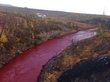 Металлургический завод оштрафовали за «кровавую реку» в Норильске