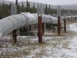 Путин в режиме онлайн запустит нефтепровод через Приангарье