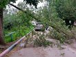 Ураган сорвал крыши и повалил деревья в Кузбассе