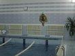 Тренера по плаванию осудят в Иркутске за семь лет насилия над детьми