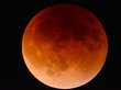 Январская багровая Луна: как наблюдать затмение и суперлуние