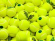 Пользователи Сети поспорили о цвете теннисных мячей