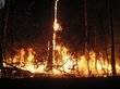 Пожары охватили 2 тысячи гектаров сибирских лесов