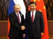 Путин рассказал о выпитой с Си Цзиньпином водке