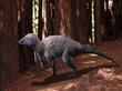 Захоронения динозавров будут изучать в Забайкалье