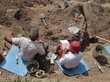 Новосибирские студенты впервые поучаствуют в раскопках динозавров