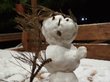 Снеговики из первого алтайского снега очаровали соцсети
