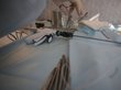 Ребенка искалечили на Алтае во время операции