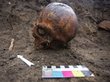 Около 100 скелетов нашли в центре Новосибирска