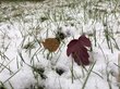 Мокрый снег и ветер придут в регионы Восточной Сибири