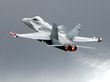 НАТО прокомментировало опасные маневры F-18 у самолета Шойгу