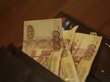 Жители России указали уровень зарплаты для полного счастья