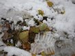 Зимний холод накроет Восточную Сибирь