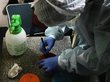 Горный Алтай последним в России сдался коронавирусу