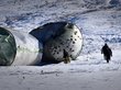 Гигантские обломки ракеты-носителя рухнули в Горном Алтае