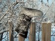 Морозы в 50 градусов зафиксировали в кузбасском поселке