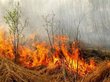 Сотни гектаров леса загорелись возле курорта в Забайкалье