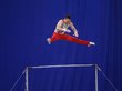 Определены победители Кубка России по гимнастистическому многоборью