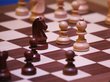 Пятилетний шахматист из Томска получил разряд после просьбы к министру