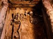 Археологи ТГУ и Эрмитажа нашли в Хакасии уникальное захоронение