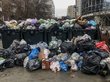 Новосибирцы столкнулись с переполненными мусорными баками