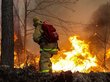 Резко выросла площадь лесных пожаров в Иркутской области