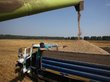 Россия соберет рекордный урожай зерна