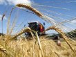 России спрогнозировали рекордный урожай зерновых