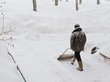 Снегопад в Новосибирске побил полувековой рекорд