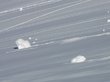 Снежная лавина с крыши вынесла женщин на дорогу в кузбасском городе