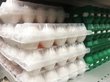 Российское правительство нашло способ снизить цены на яйца